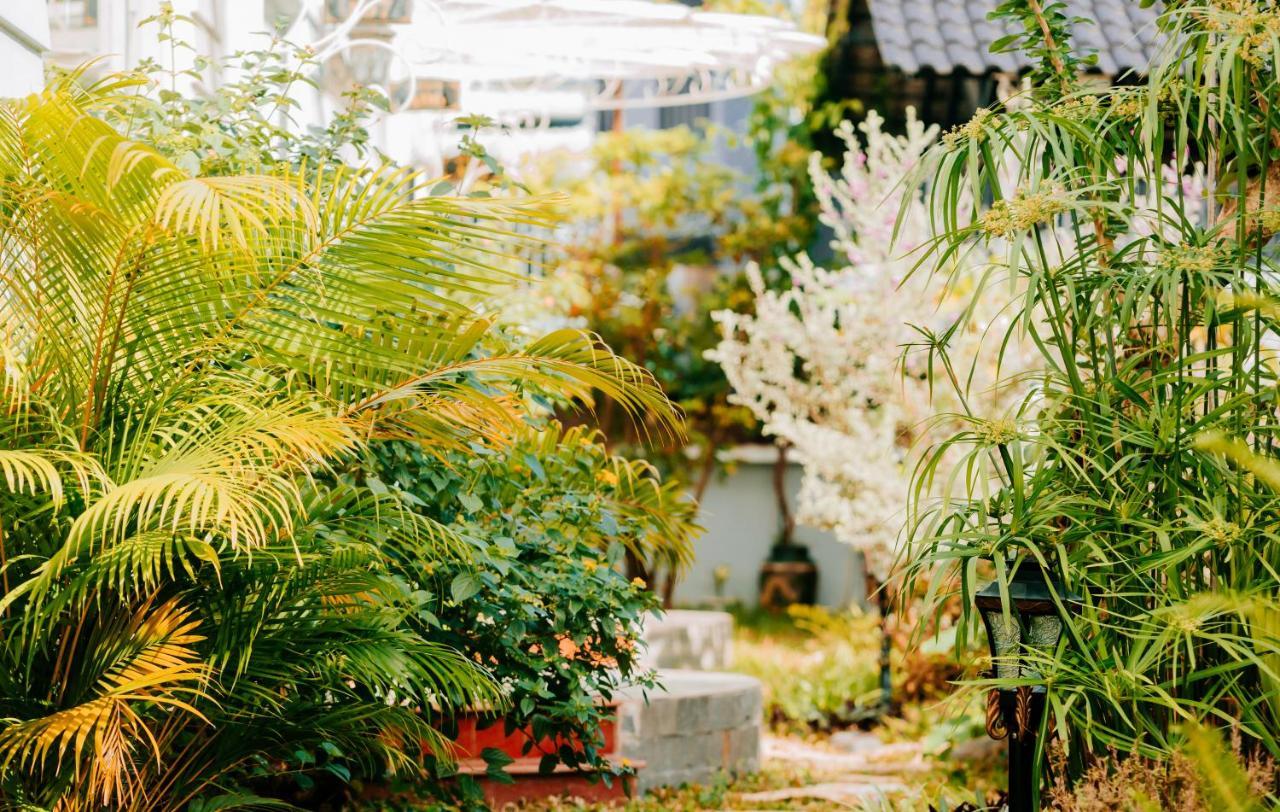 Window Homestay Tỉnh Kontum Exterior foto